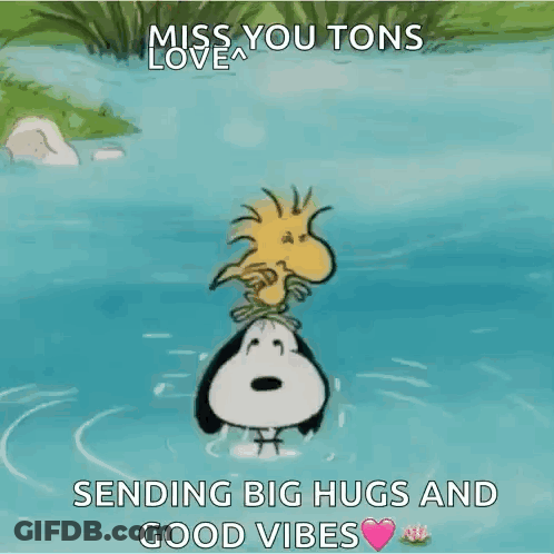 Snoopy And Woodstock In Water Miss You Tons GIF
