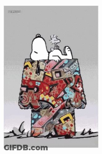 Snoopy And Woodstock Laying In Box GIF