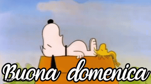 Snoopy And Woodstock Laying On Box Buona Domenica GIF