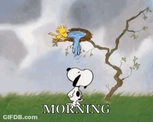 Snoopy And Woodstock Looking At Bird Nest Morning GIF