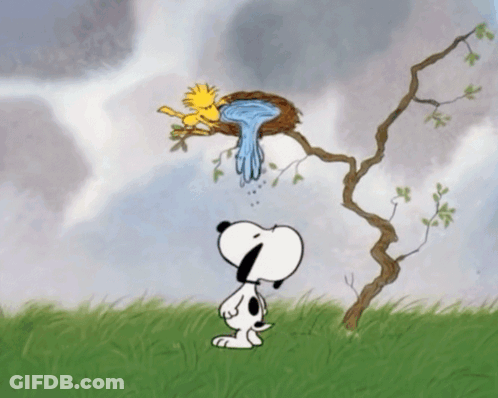Snoopy And Woodstock Looking At Bird Nest GIF