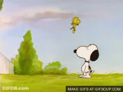 Snoopy And Woodstock Looking At Each Other Make GIFs At Gifsoup.com GIF