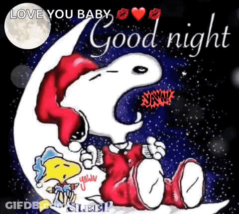 Snoopy And Woodstock On Crescent Moon Good Night GIF