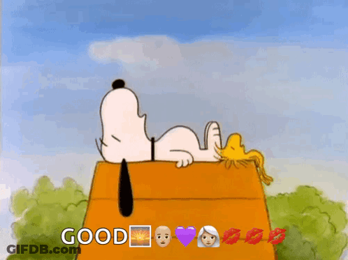 Snoopy And Woodstock On Good House GIF
