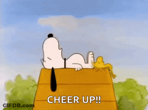Snoopy And Woodstock On Wooden House Cheer Up GIF