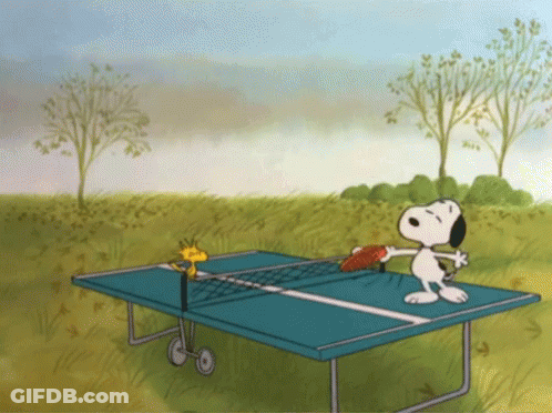 Snoopy And Woodstock Playing Ping Pong GIF