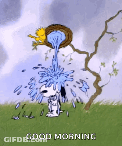 Snoopy And Woodstock Pouring Water From Bird Nest GIF