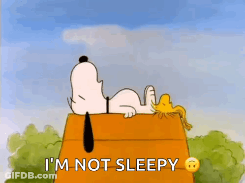 Snoopy And Woodstock Resting GIF
