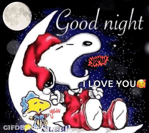 Snoopy And Woodstock Saying Good Night GIF