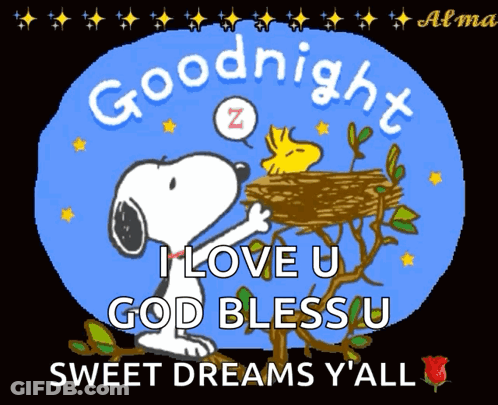 Snoopy And Woodstock Saying Goodnight I Love U God Bless U Sweet Dreams Y'all GIF