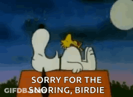 Snoopy And Woodstock Sleeping In A Box At Night GIF