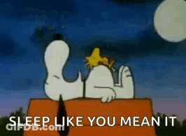 Snoopy And Woodstock Sleeping On Roof GIF