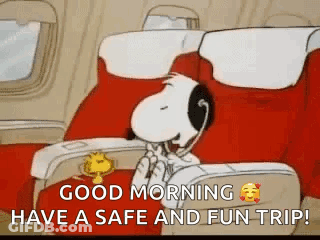 Snoopy And Woodstock Wishing Safe Fun Trip GIF