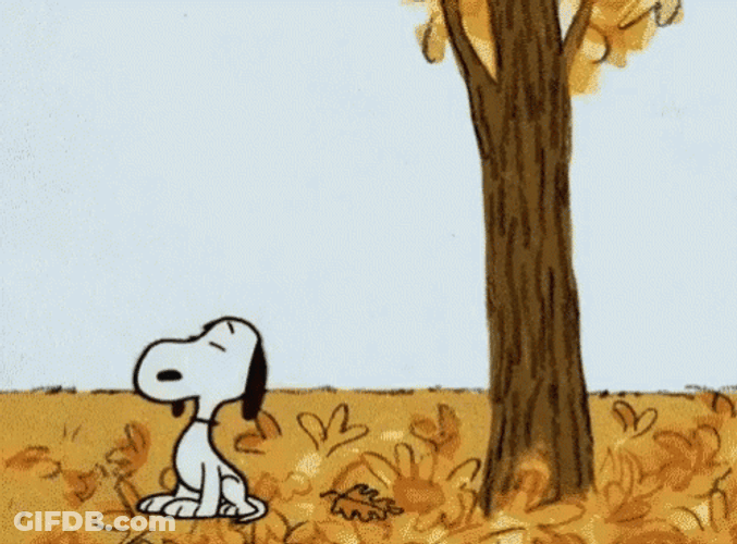 Snoopy Blowing Falling Leaves GIF
