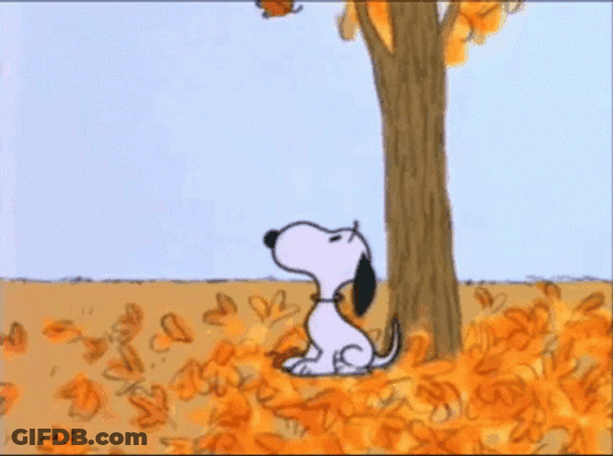 Snoopy Blowing Leaf During Fall GIF