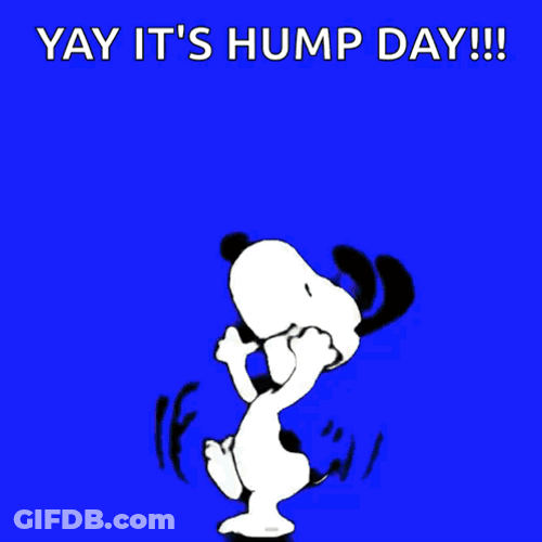 Snoopy Dancing It's Hump Day GIF