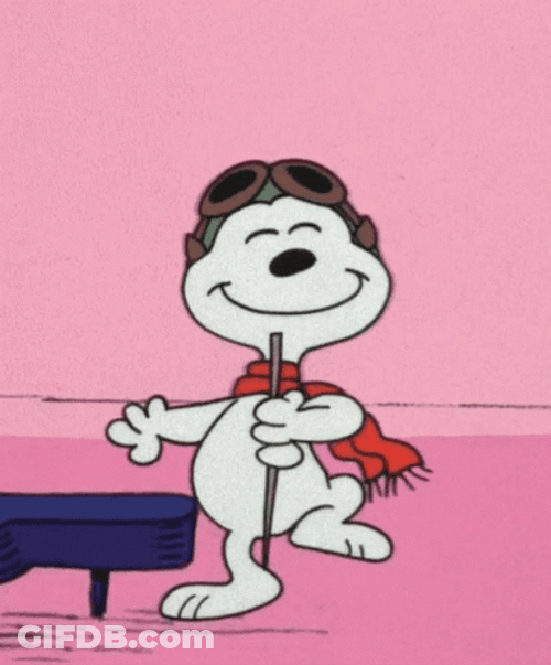 Snoopy Dancing Peanuts Smile GIF