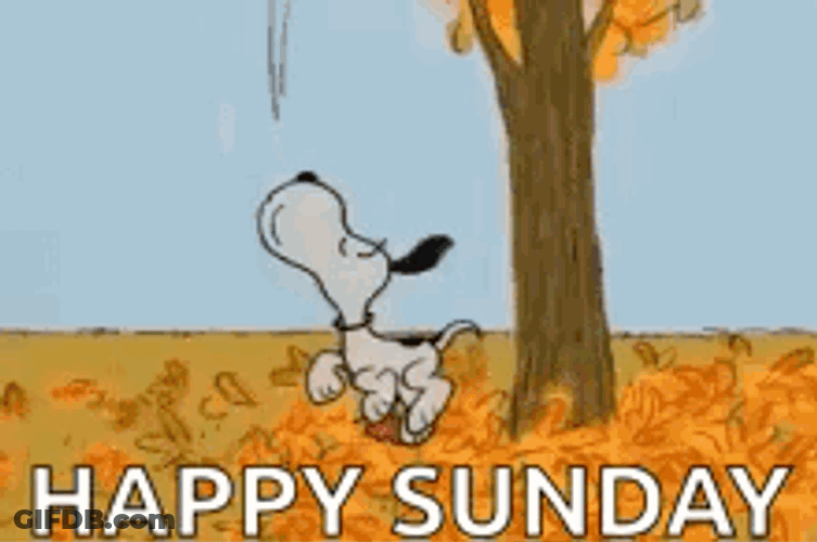 Snoopy Fall GIF