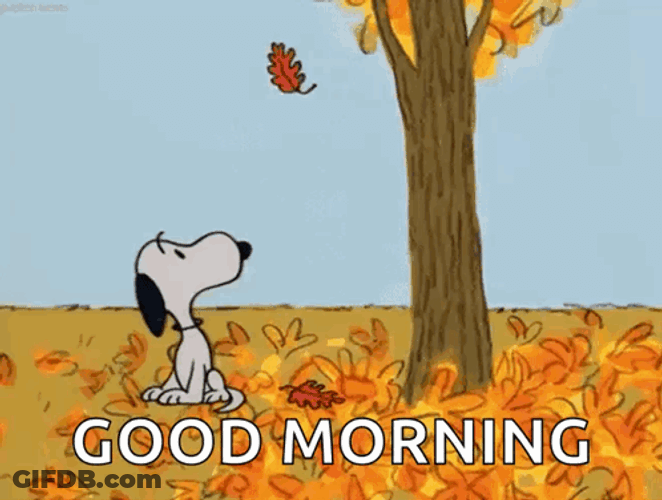 Snoopy Fall GIF