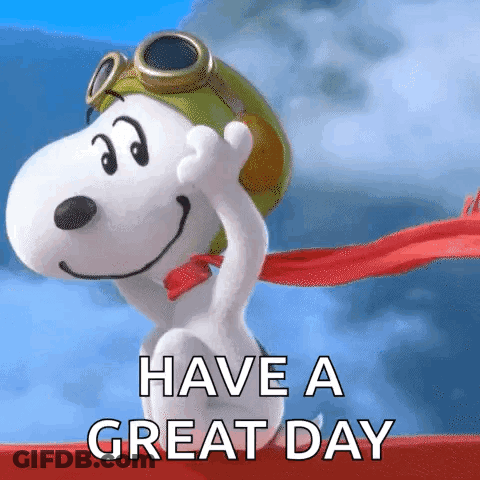 Snoopy Wearing Helmet And Goggles GIF