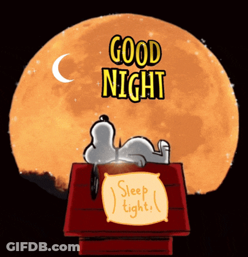 Snoopy Good Night GIF