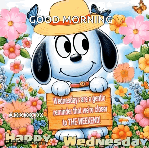Snoopy Happy Wednesday GIF