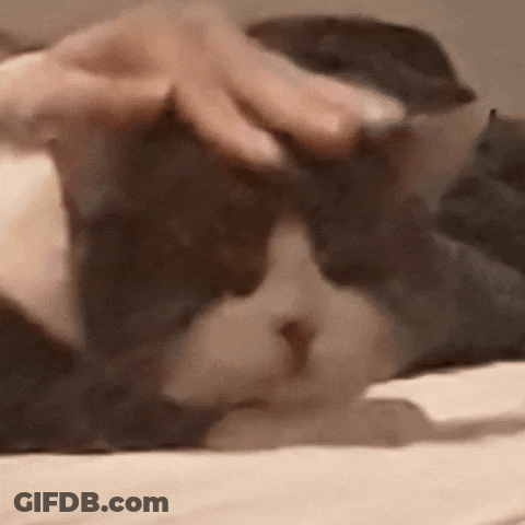 Snoopy Holding Heart Good Morning You Are Beautiful GIF