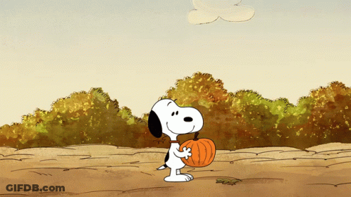 Snoopy Holding Orange Pumpkin In Field GIF