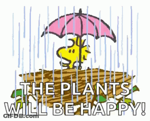 Snoopy Holding Umbrella In Rain GIF