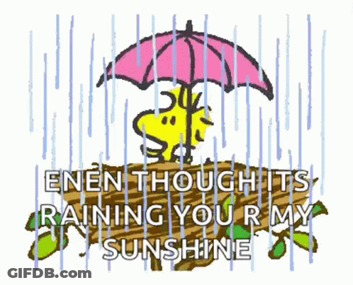 Snoopy Holding Umbrella In Rain Saying Enen Though Its Raining You R My Sunshine GIF