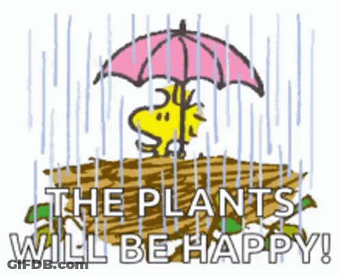Snoopy Holding Umbrella Over Dirt GIF