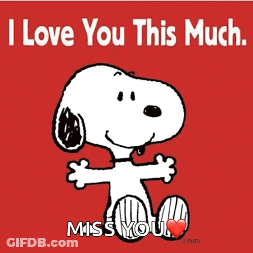 Snoopy Hugging I Love You This Much Miss You GIF
