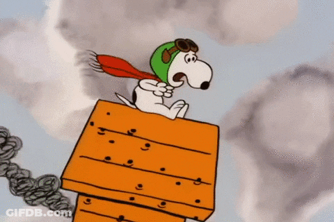 Snoopy In Green Hat And Goggles On Wooden Box GIF