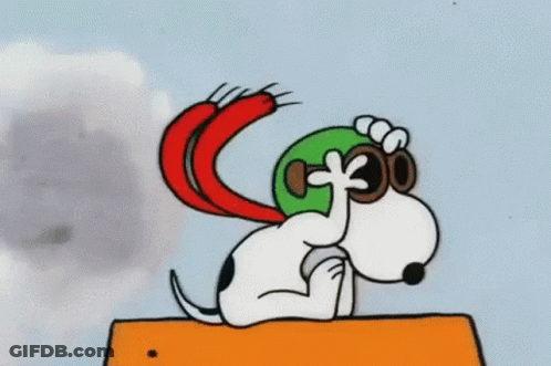 Snoopy In Helmet And Scarf On Snoopy Plane GIF