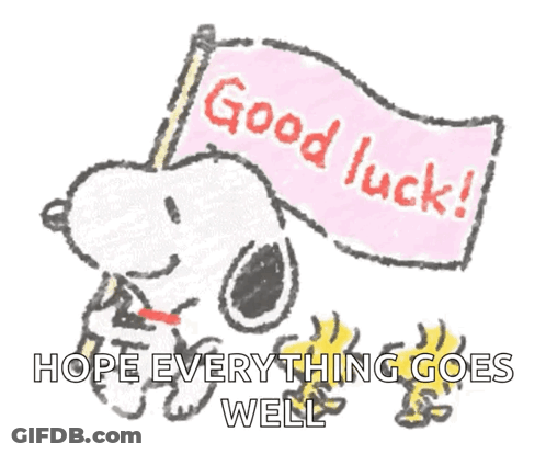Snoopy Is Holding A Flag That Says Good Luck GIF
