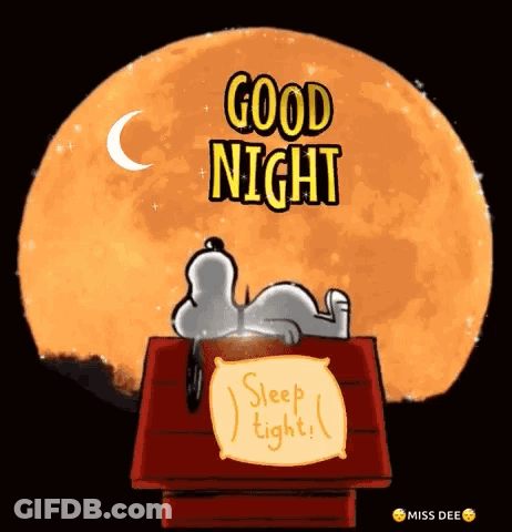 Snoopy Is Laying On Top Of A Wooden House In Front Of A Full Moon With The Words `` Good Night Sleep Tight '' . GIF