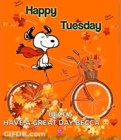 Snoopy Is Riding A Bicycle With A Basket Full Of Leaves On It . GIF