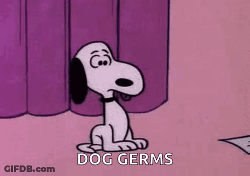 Snoopy Is Sitting On The Floor With His Tongue Out And The Words `` Dog Germs '' Written On The Bottom . GIF
