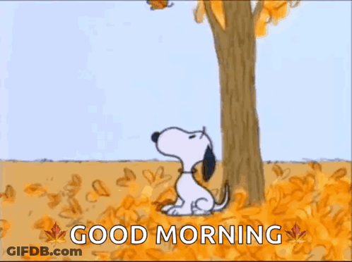 Snoopy Is Sitting Under A Tree In A Field Of Leaves Looking Up At A Leaf . GIF