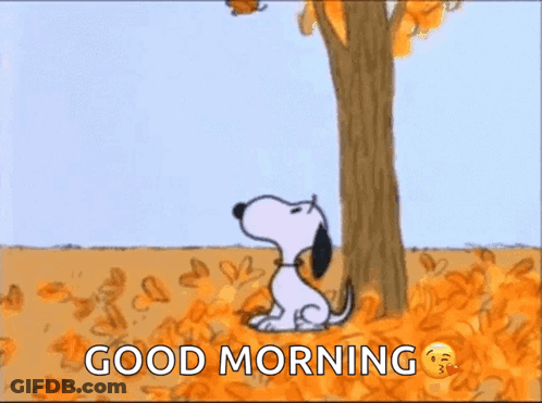 Snoopy Is Sitting Under A Tree Looking At A Bird Feeder With Leaves On It . GIF