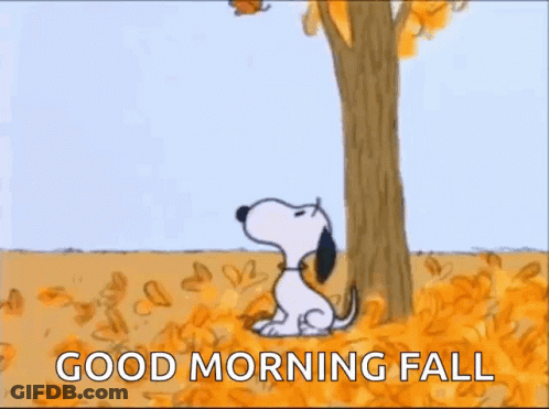 Snoopy Is Sitting Under A Tree Looking Up At A Leaf Hanging From It . GIF