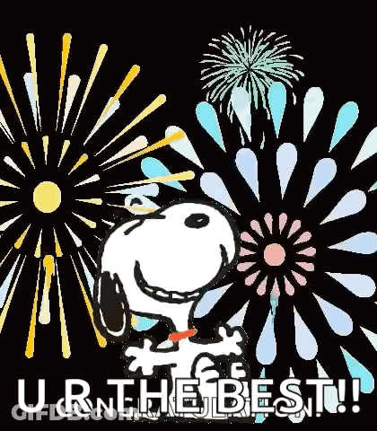 Snoopy Is Standing In Front Of A Fireworks Display And Says `` You Are The Best ! '' GIF