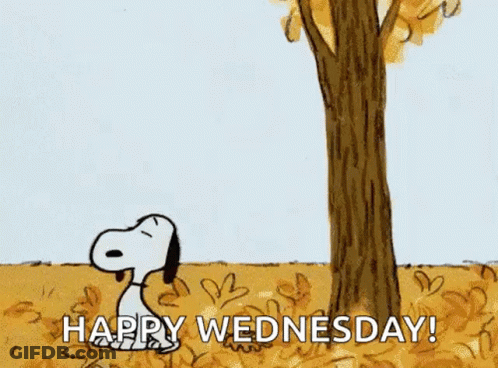 Snoopy Is Standing Next To A Tree With Leaves Falling From It And A Squirrel Hanging From It . GIF