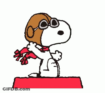 Snoopy Is Wearing A Helmet And Scarf And Sitting On A Red Box . GIF
