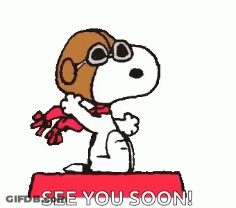 Snoopy Is Wearing A Pilot 'S Hat And Scarf And Is Sitting On A Red Box . GIF