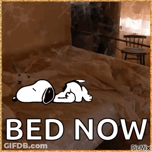 Snoopy Laying On Bed Bed Now GIF
