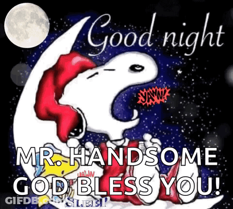 Snoopy Laying On Moon Good Night Mr. Handsome God Bless You GIF
