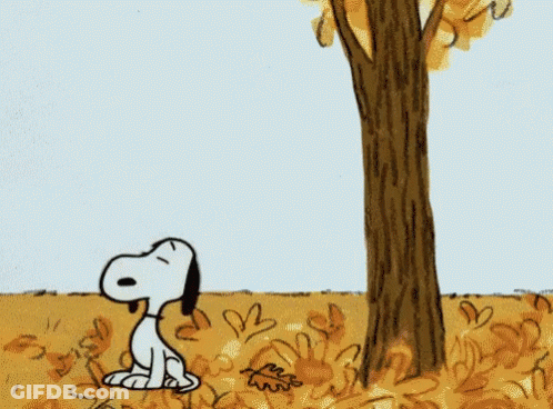 Snoopy Looking Up At Tree GIF