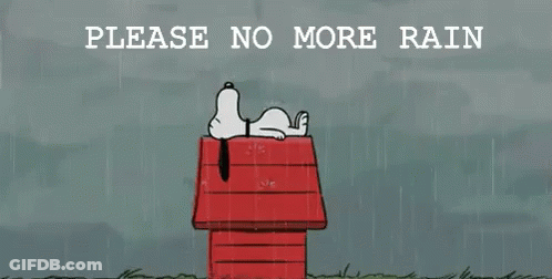 Snoopy Lying On Red House In Rain GIF