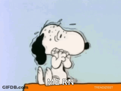 Snoopy On Ledge Saying Me RN GIF